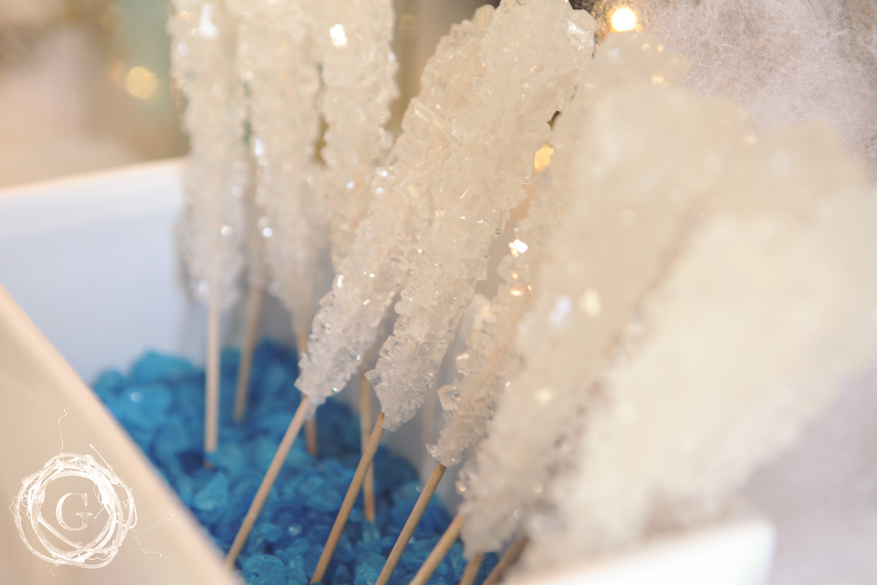 Frozen Birthday Party – Gatherhaus